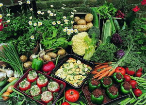 破解農(nóng)產(chǎn)品“賣(mài)難”困局 優(yōu)化食用農(nóng)產(chǎn)品零售的創(chuàng)新路徑