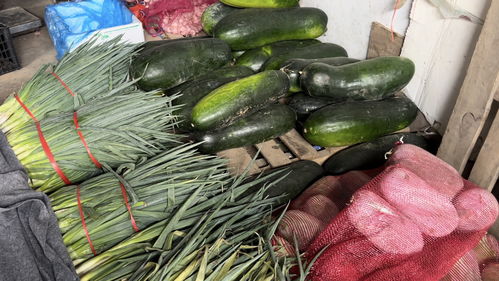 蔬菜價(jià)格高位運(yùn)行，專家預(yù)測(cè)九月上旬將回落