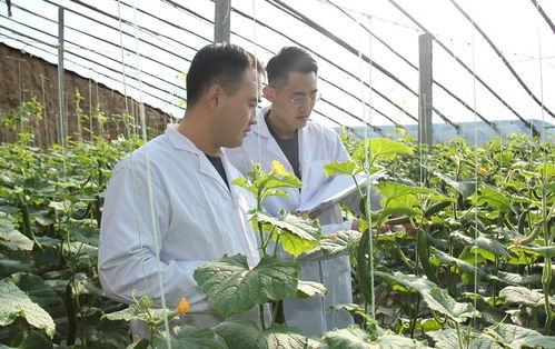 安丘百名檢測員一線把關(guān)，筑牢“舌尖安全”防護網(wǎng)